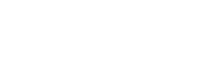 Fortbras